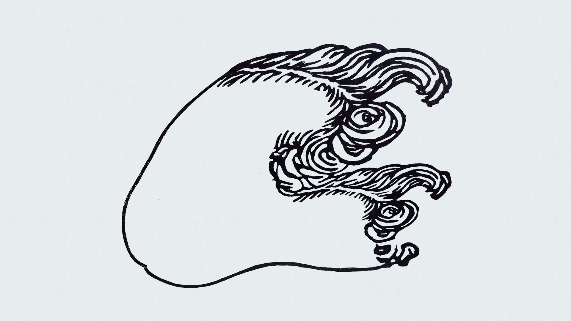 LTR059_website_landscape