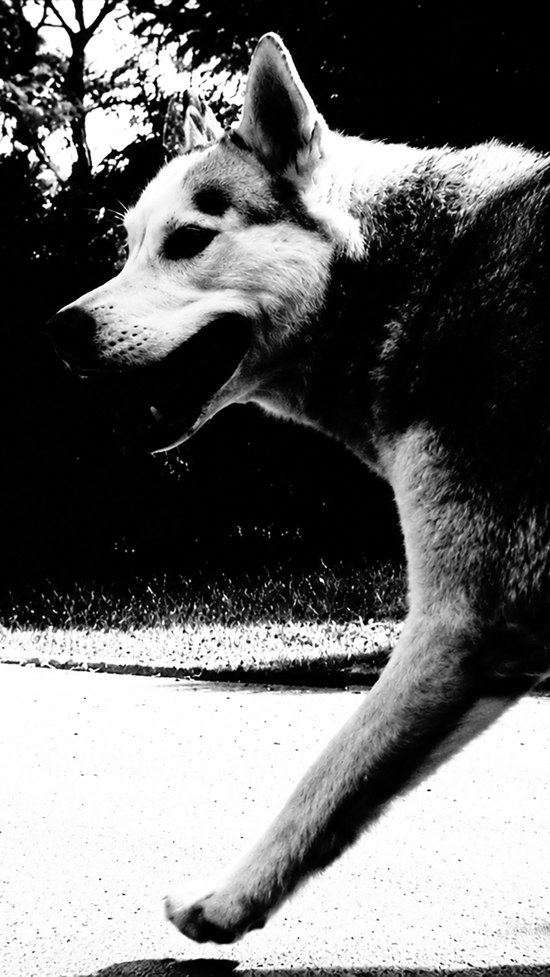 LTR066_web_mobile